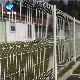 Good Quality Fence Panel 3D Curved Welded Wire Mesh Fence