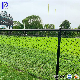 Pengxian 6 Foot Stadium Chain Link Fence China Suppliers 50mm X 50mm Aluminium Stadium Chain Link Fence Used for Baseball and Softball Fencing