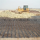 HDPE Uniaxial Plastic Geogrid/ PP Biaxial Geogrid/Two-Way Plastic Geogrid for Earthwork Construction