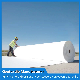 Pet Polyester Filament/Long Fiber Non Woven Geotextile Manufacturer for Filtration and Anti-Seepage for Sewage Treatment Plant/Landfill Plant/Pollutant Storage