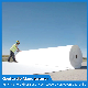  Pet Polyester Filament/Long Fiber Non Woven Geotextile Manufacturer for Filtration and Anti-Seepage for Sewage Treatment Plant/Landfill Plant/Pollutant Storage