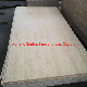  Chile Radiata Pine Laminated Fjlb with Good Price