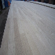 Prime Oak Finger Joint Board/Countertops/Worktops/Laminated Board manufacturer