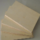 Cabinet Grade 18mm Birch Plywood Cheap Melamine Boards Birch Veneer Plywood for Making Furniture