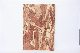  1220*2440mm New Style 9-25mm OSB-2/3 Phenolic Aldehyde Oriented Starand Board