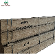  63X300mm Wood Roofing Joist