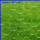 Hexagonal Wire Mesh/Chicken Wire Mesh/Galvanized Hexagonal Wire Netting