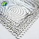 Ss Aluminum Galvanized Perforated Metal Sheet Filter Mesh Etching Punching Mesh manufacturer