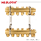 Brass Manifolds with Flow Meters and Standard Outputs for Floor Heating System manufacturer