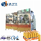 2L Glass Bottle Production Carbonated Soda Water Filling Machine System with Ring Type Liquid Tank