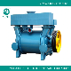 Big Capacity Liquid Ring Type Vacuum Pump Vacuum System