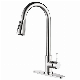  Stainless Steel 304 Kitchen Pull out Sprayer Kitchen Faucet