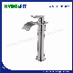  Brass Basin Mixer for American Market Sanitary Ware Factory Lead Free Cupc Basin Faucet (AFT303-111B)
