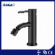Great Single Lever Basin Faucet Free Sample Chrome-Plated Bidet Mixer China Gl32207bl321 Single Lever Bidet Faucet Home Bar Bidet Faucet Spray Supplier manufacturer