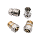 Underfloor Heating System Forged Connectors Silver Brass Compression Fitting Pex Pipe Fittings