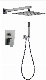  2 Function Wall Concealled Shower Faucet with Ss Shower Head