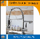 Modern and Popular Brass Spring Kitchen Faucet CB-21205