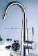  CE Cetification Brass Kitchen Faucet (CB21235)