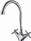 Health SUS304 Double Handle Kitchen Faucet 34049c