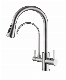  2023 Health SUS304 Double Handle Pure Water Faucet 690119