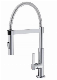  Sanitary Ware kitchen Sink Mixer Shower Spout Kitchen Faucet