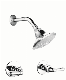 Double Handle Concealed Shower Faucet with Rain Shower Sh-1711024