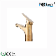  304 Stainless Steel Tap Sanitary Ware Single Handle Gold Basin Faucet