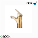 304 Stainless Steel Tap Sanitary Ware Single Handle Gold Basin Faucet manufacturer