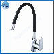  Popular Kitchen Faucet with Color Black Pipe Sanitary Water Tap