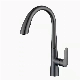 Popular Kitchen Faucet with Color Black Pipe Sanitary Water Popular Kitchen Faucet with Color Black Pipe Sanitary Water