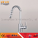  Brass Kitchen Sink Faucet Classic Mixer Single Handle Modern Style Pull out Spray Hy-61006