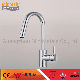 Brass Kitchen Sink Faucet Classic Mixer Single Handle Modern Style Pull out Spray Hy-61006