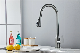 Space Aluminum Swivel Pull-out Kitchen Faucet