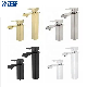 Zb6113 Hot Sale Hot and Cold Water Stainless Steel Bathroom Faucet