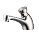 Self Closed Time Lapse Push Handle Basin Faucet manufacturer