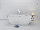 Stand Alone Acrylic Freestanding Bathtub for Bathroom Soaking Bath Tub Sanitary Ware