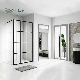 CE Partition Glass Black Stripe Cealing Stripes Aluminium Profile Square Shower Room