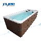 Joyee Dual Zone SPA Massage and Swim Exercise Endless SPA Pool