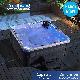 Joyee LED Freestanding 5 Persons Balboa SPA Acrylic Whirlpool Garden Outdoor Hot Tub Spas manufacturer