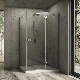 Hinged Frameless Shower Enclosures with Stainless Steel Support Bar Shower Rooms