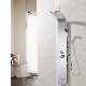  Hotaqi Modern Style Brushed Finish Ss 304 Shower Panel for Bathroom