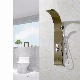  Hotaqi Modern Brushed Bronze Good Quality Ss 304 Shower Wall Panel