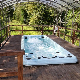 2022 Sunrans 6 Meters Acrylic Hydro Swimming Pool Hot Tub Swim SPA