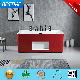 2023 New Design Free Standing Sanitary Ware Red Acrylic Art Bathtub (BT-Y2626E)
