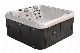 Hot Sale New Product 5 Persons Outdoor Massage Bathtub Hot Tub Spas with SPA manufacturer