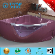 Top Quality Corner Crystal Pink Indoor Freestanding Massage Bathtub SPA (BT-A325)