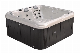  Inground SPA Pool for Sale Bath Jacuzzi 5 Person Hot Tub