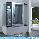 Luxury Rectangle Steam Shower Room (LTS-8915A)