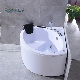 CE Single Person Seat Bath Tub SPA Whirlpool Massage Bathtub with Waterfall manufacturer