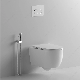 Bto Ceramic Rimless Concealed Cistern Wall Hang Tornado Wall Hung Toilet manufacturer